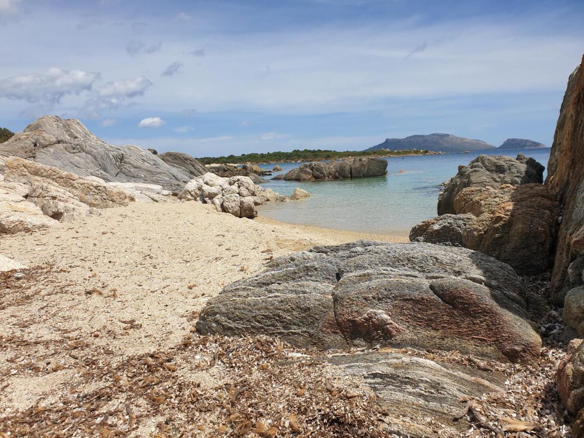 Home On Sardinia Beach Олбия Екстериор снимка