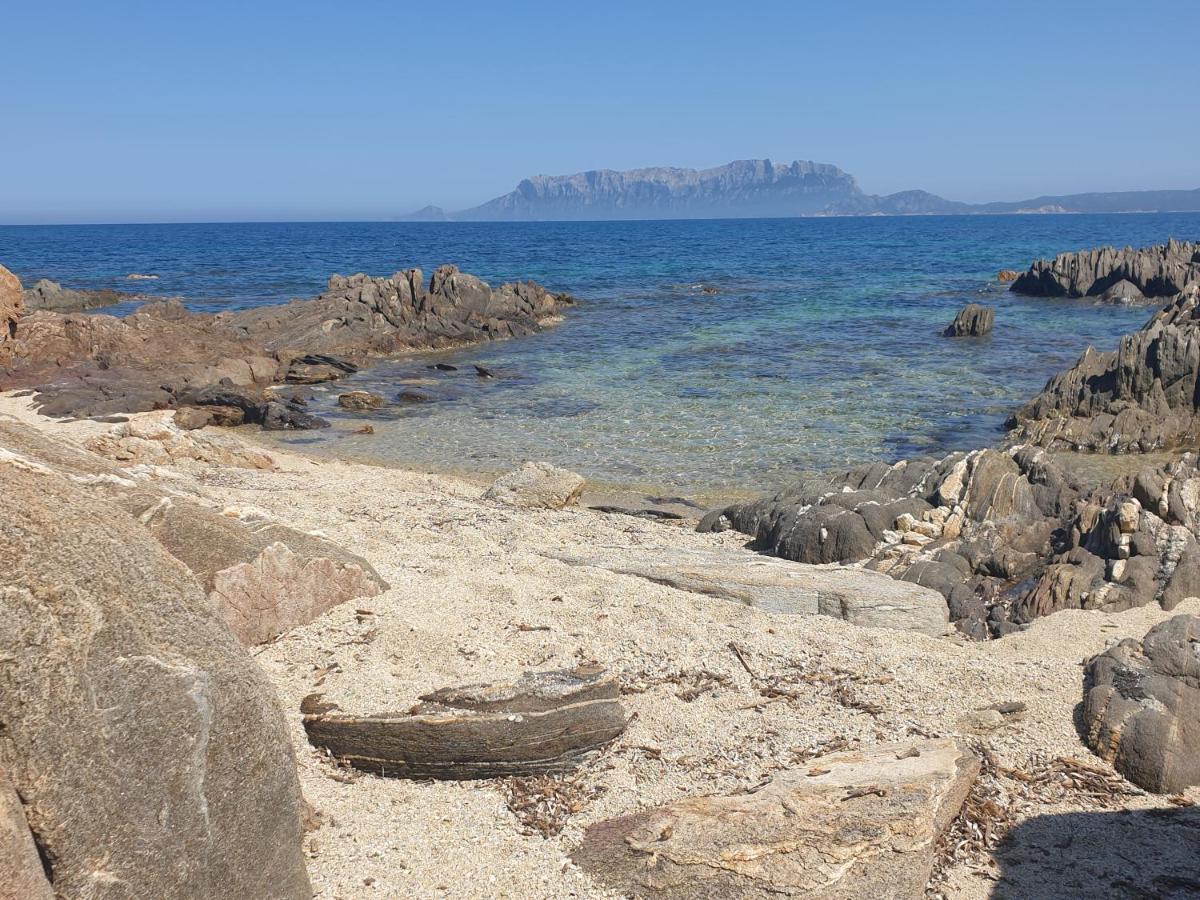 Home On Sardinia Beach Олбия Екстериор снимка
